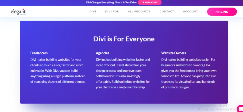 Divi Elagant Theme