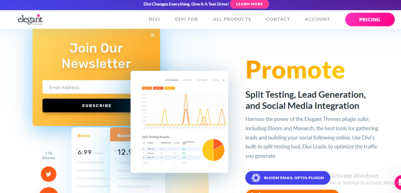 Elagant Theme Split Testing