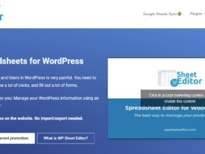 WP Sheet Editor Pro