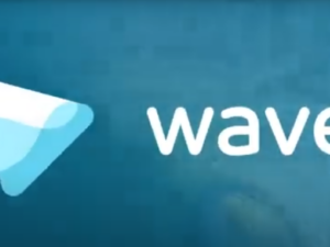 Wave Video Pro