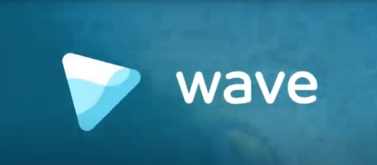 Wave Video Pro