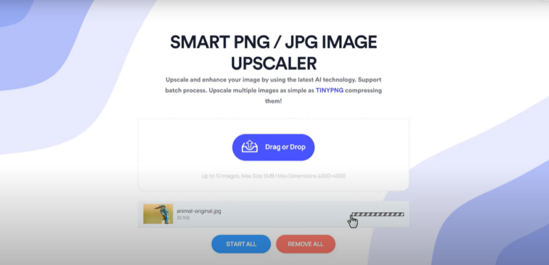 both png and jpeg formates are available