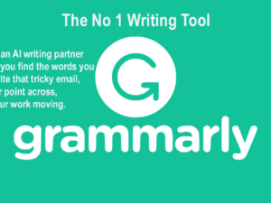 grammerly premium